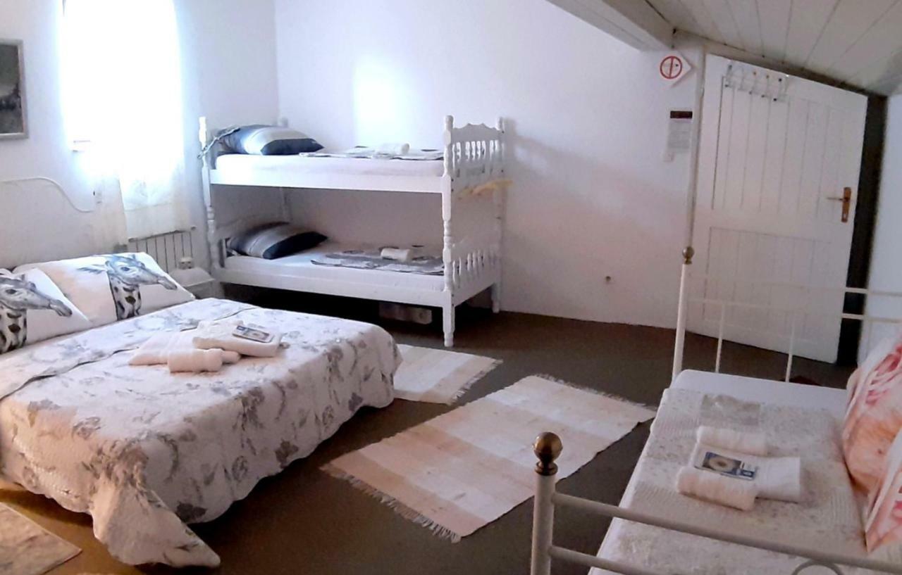 Hostel Pansion Lion SJJ Exteriör bild